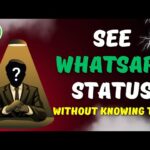 How to Determine Who Viewed Your WhatsApp Status Without Being Listed In 2024