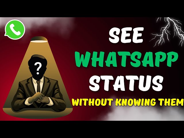 How to Determine Who Viewed Your WhatsApp Status Without Being Listed In 2024